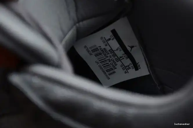 Rep LUCY Jordan x Grey KAWS Air Cool 4 930155-003 0530
